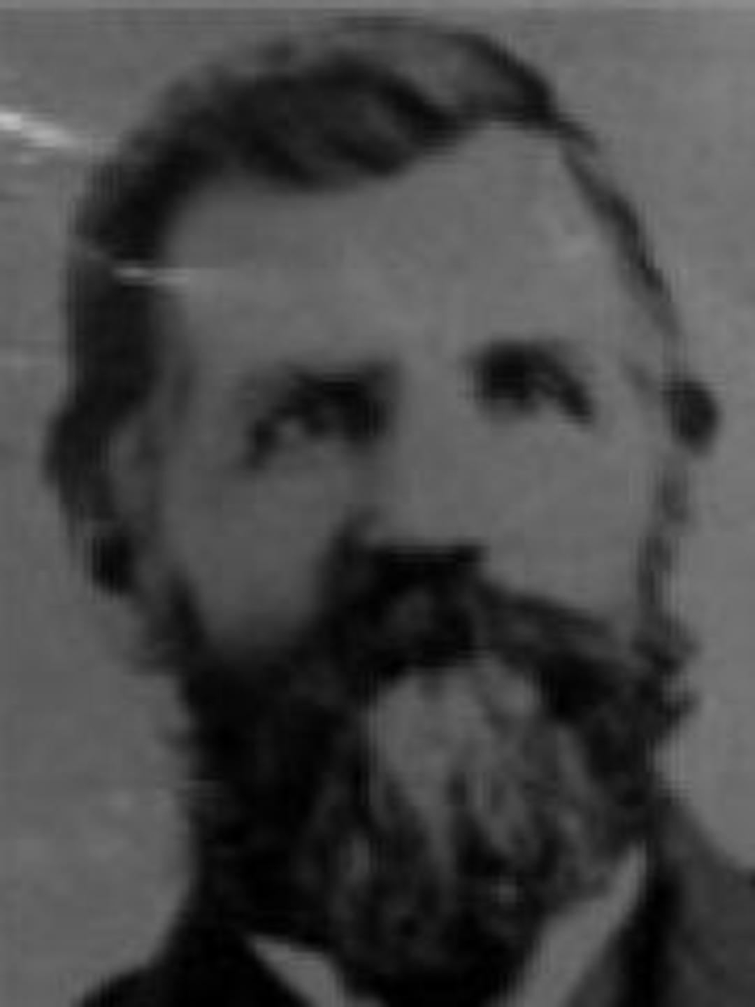 William Holgate Jr. (1846 - 1915) Profile